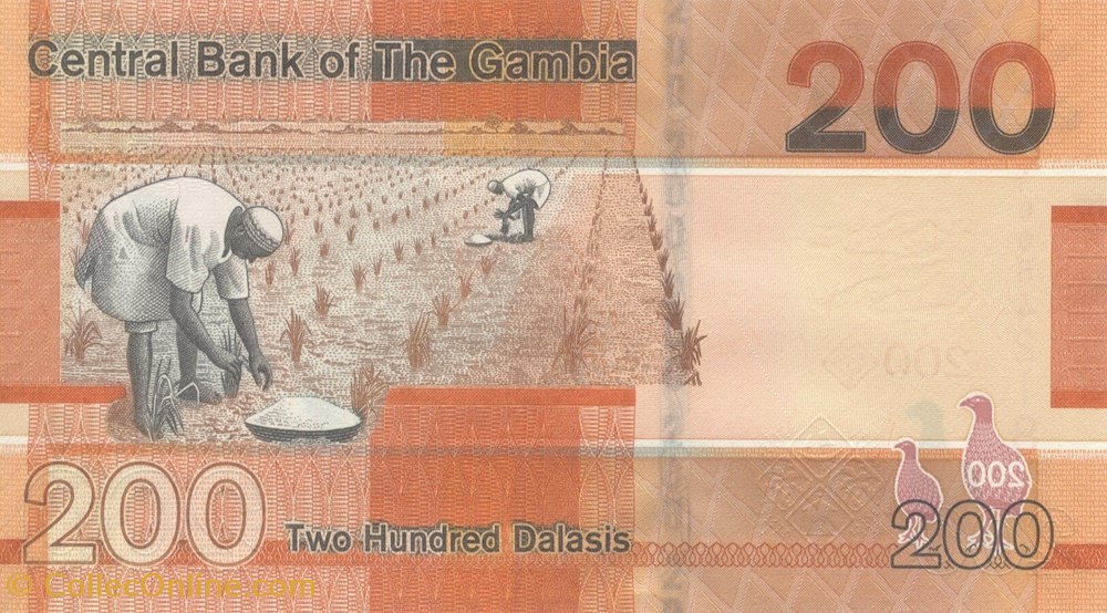 200 dalasis billets afrique gambie 200 dalasis