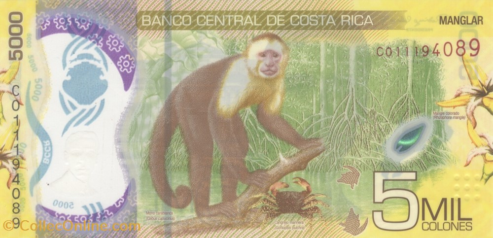 5.000 colónes billets amerique centrale et caraibes costa rica 5 000 colones