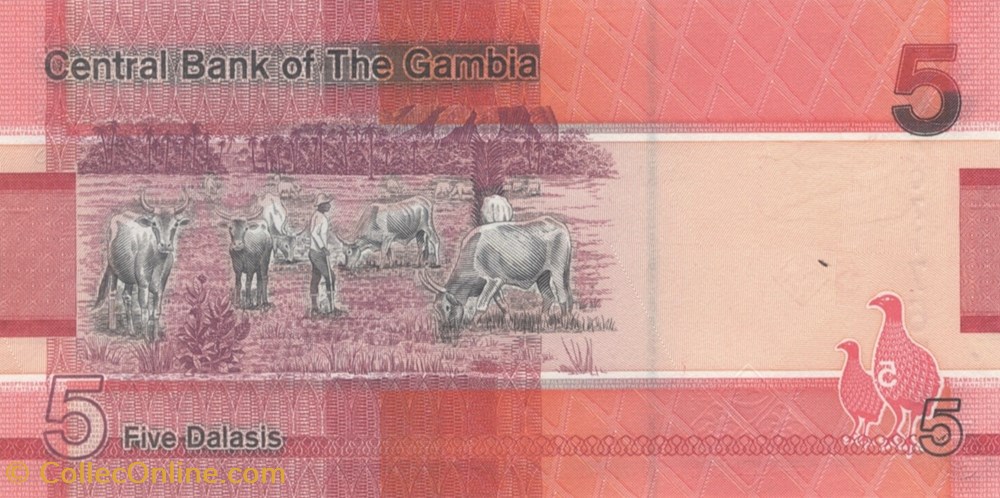5 dalasis billets afrique gambie 5 dalasis