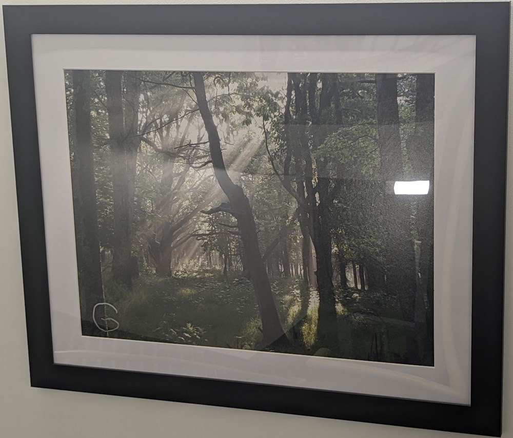 First Light art antiquities first light