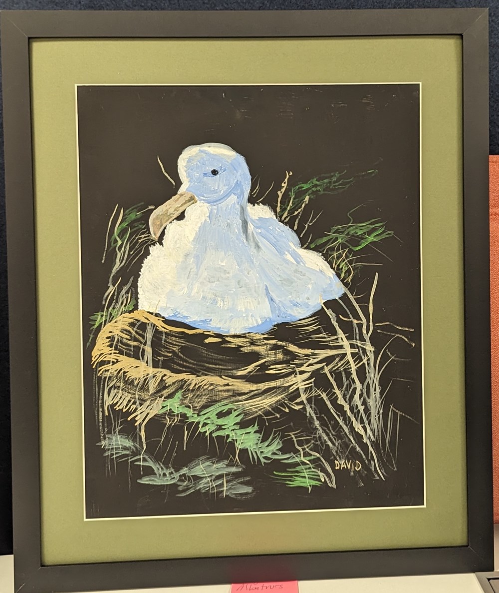 art antiquities baby albatross