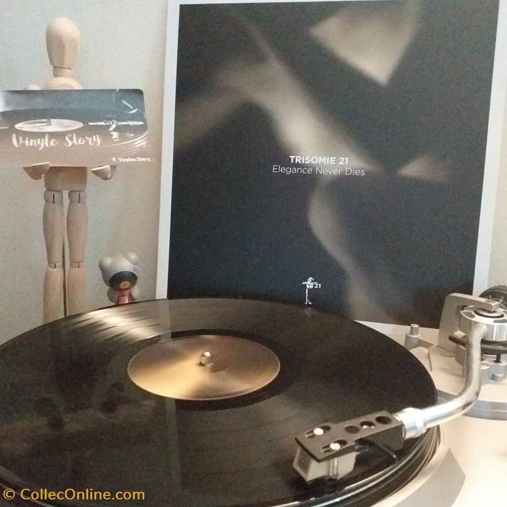 Trisomie 21 - Elegance Never Dies musique instruments vinyles disque tours trisomie 21 elegance never dies