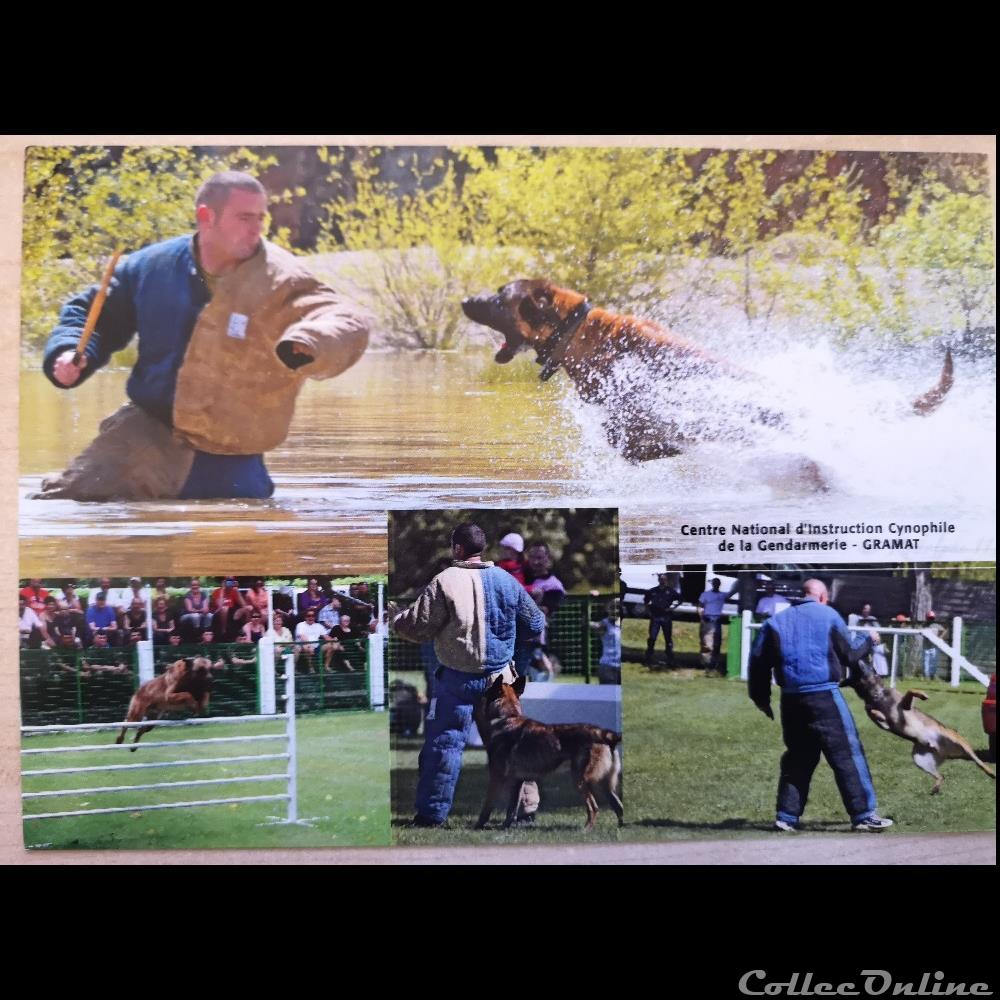 carte postale france midi pyrenee centre national d instruction cynophile de la gendarmerie gramat