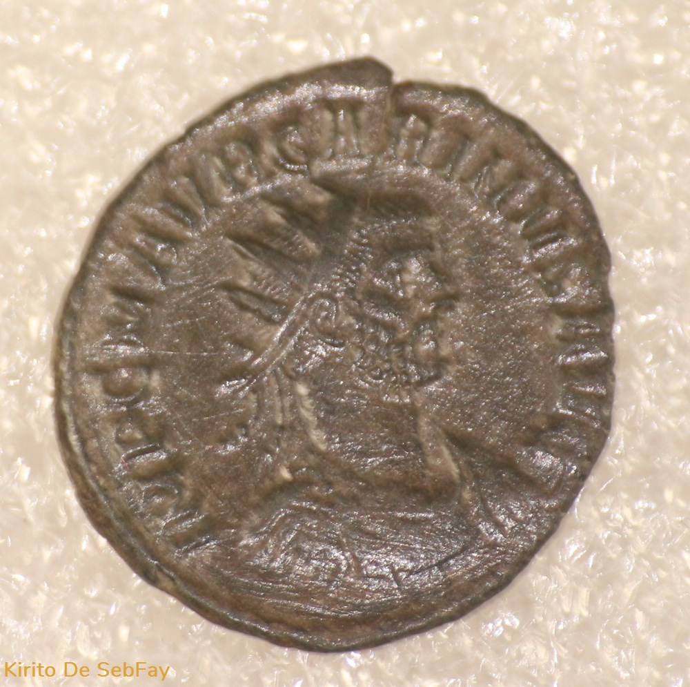 monnaies antiques romaines republicaines imperiales carin fides