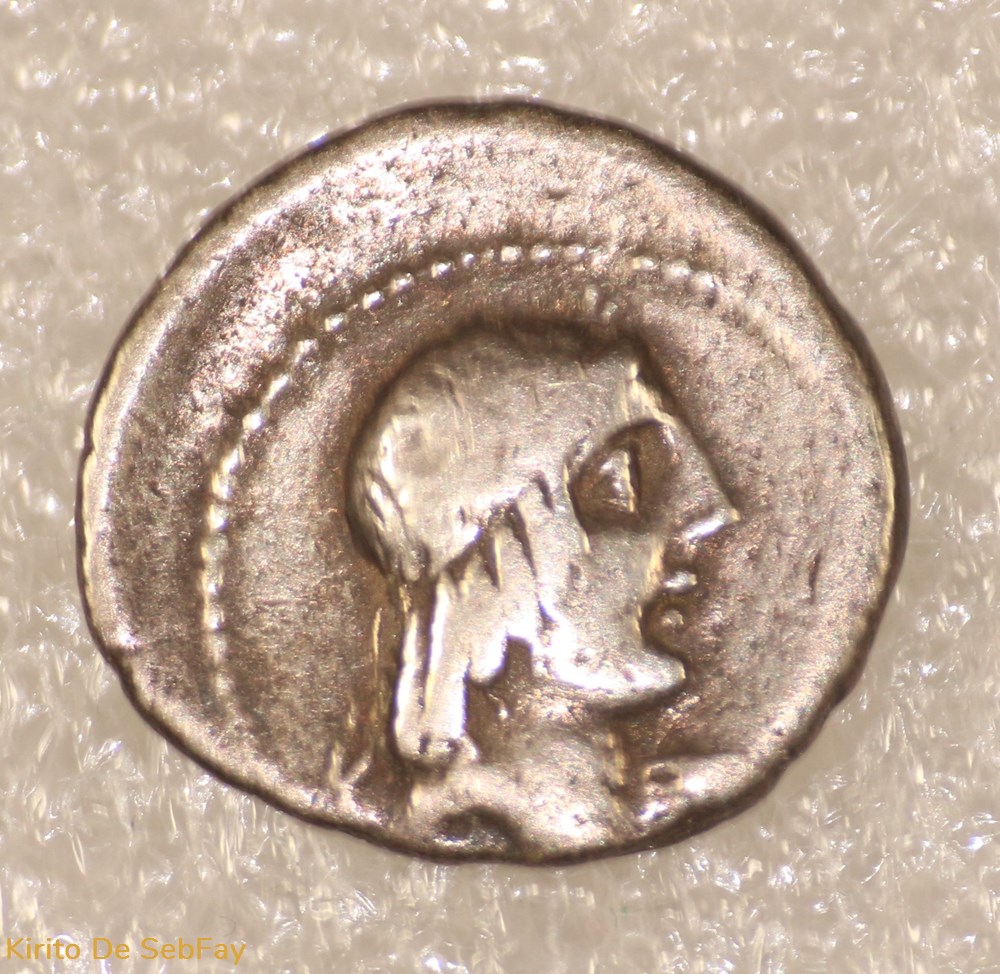 monnaies antiques romaines republicaines imperiales calpurnia