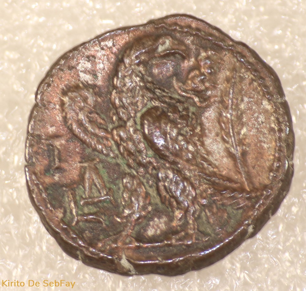 monnaies antiques romaines provinciales gallien