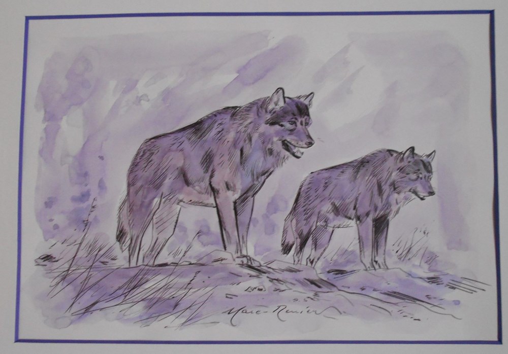 art antiquites peintures dessins aquarelle de marc renier