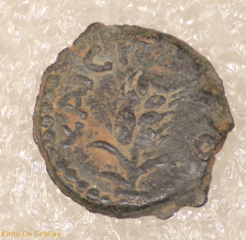 COPONIUS monnaies antiques a grecques coponius
