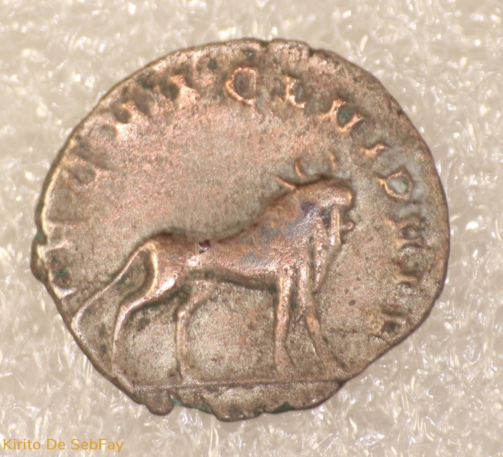 monnaies antiques romaines imperiales et republicaines gallien boeuf
