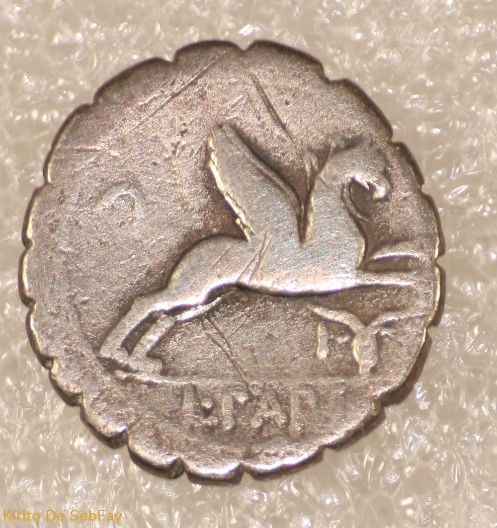 monnaies antiques romaines republicaines imperiales papia