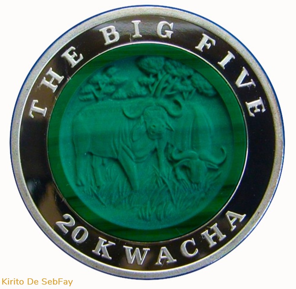 monnaies monde malawi 20 kwacha 2004