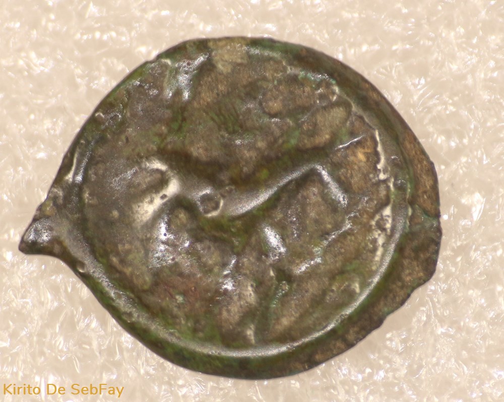 NERVIEN - POTIN AU RAMEAUX monnaies antiques celtes nervien potin au rameaux