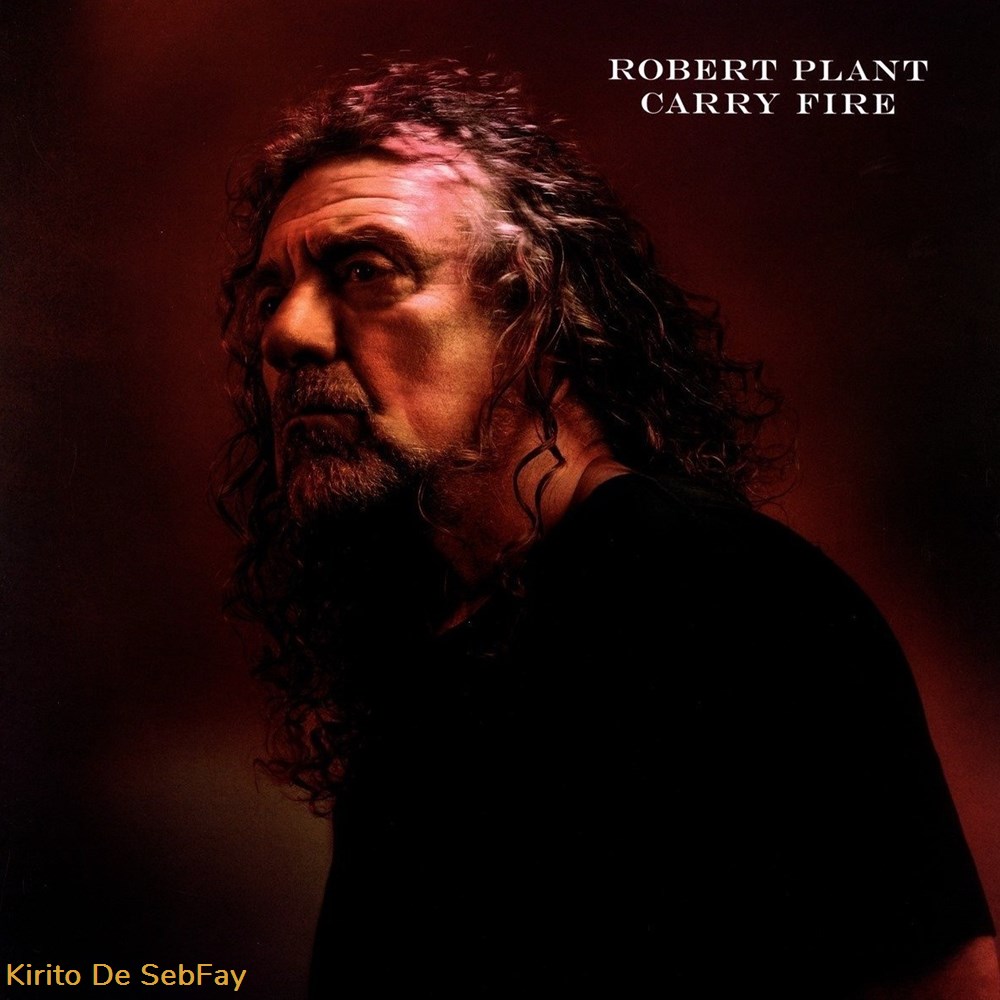 musique instruments disques vinyles 33t robert plant carry fire