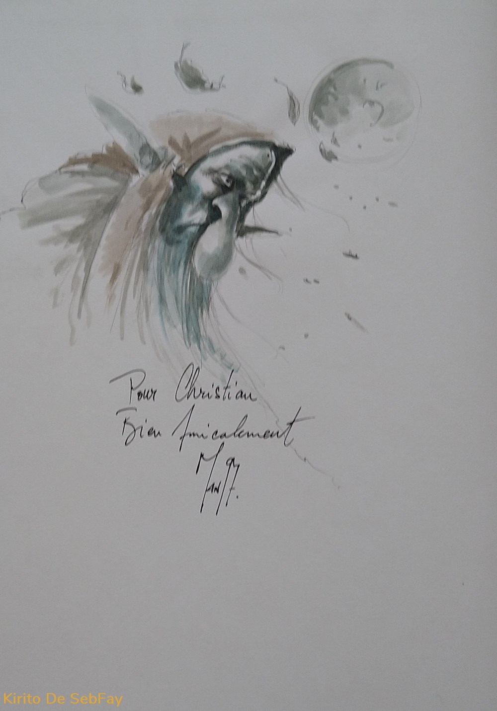 livres revues bd civiello la graine de folie igguk n 1 dessin auteur