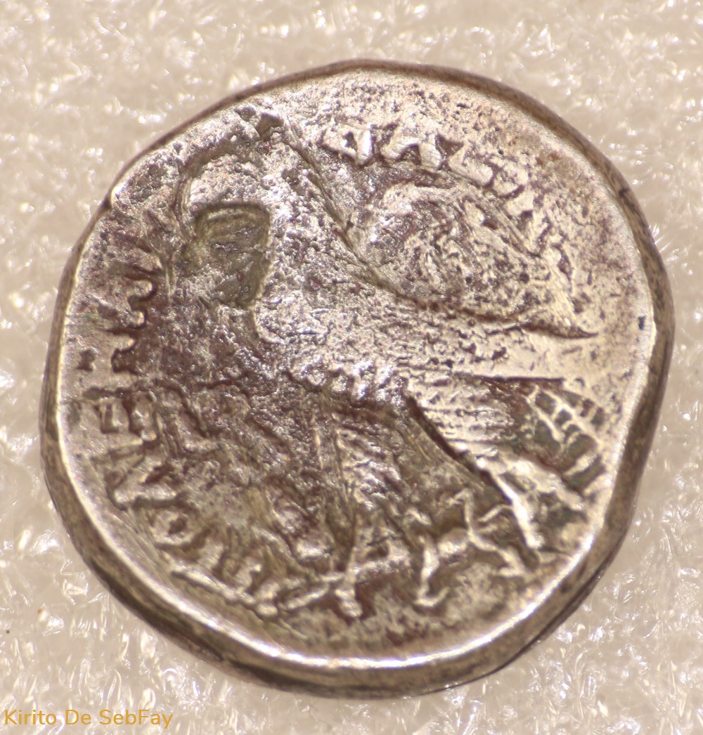 CLEOPATRE VII monnaies antiques grecques cleopatre vii