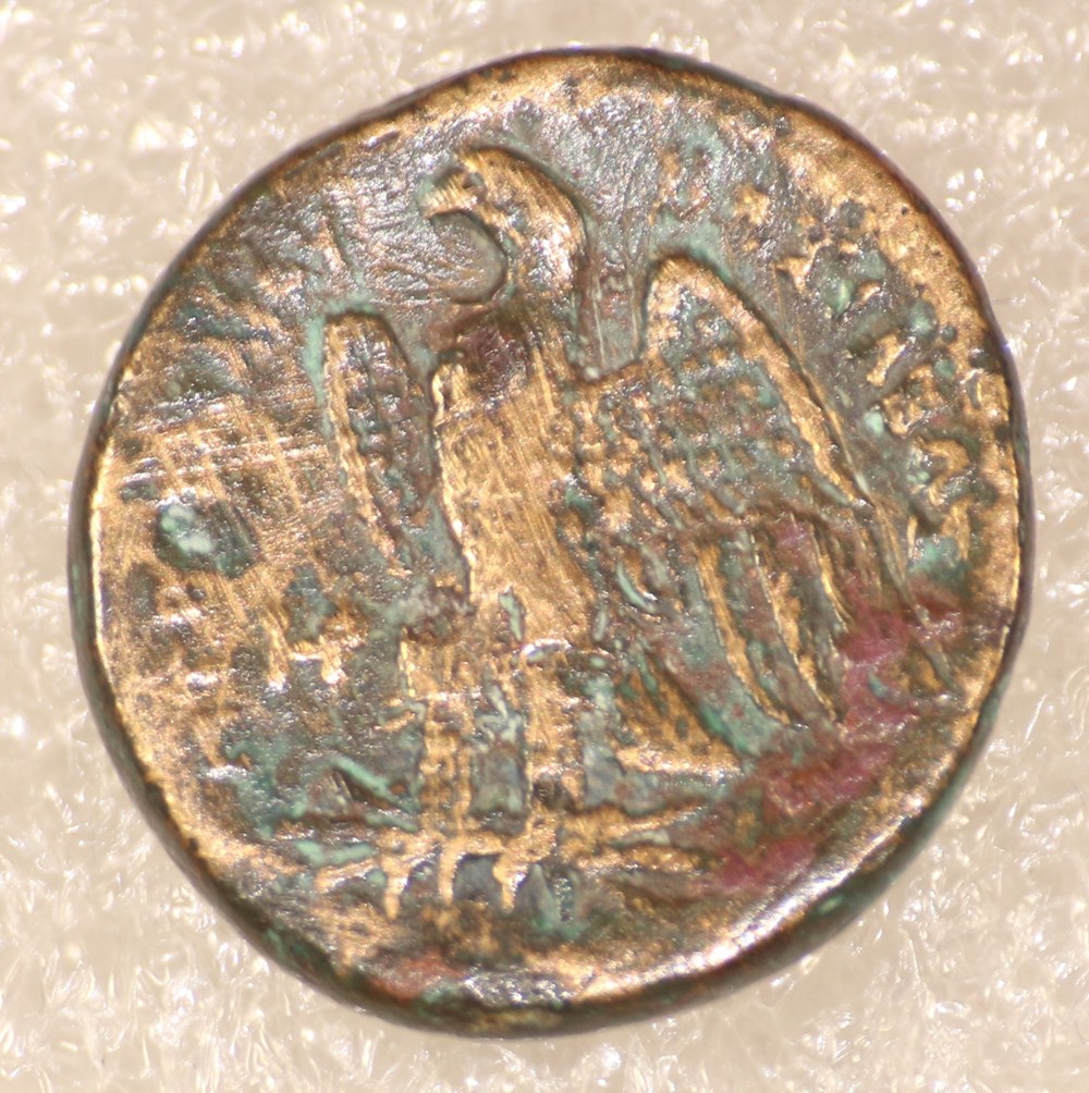 PTOLEMEE I monnaies antiques a grecques ptolemee i