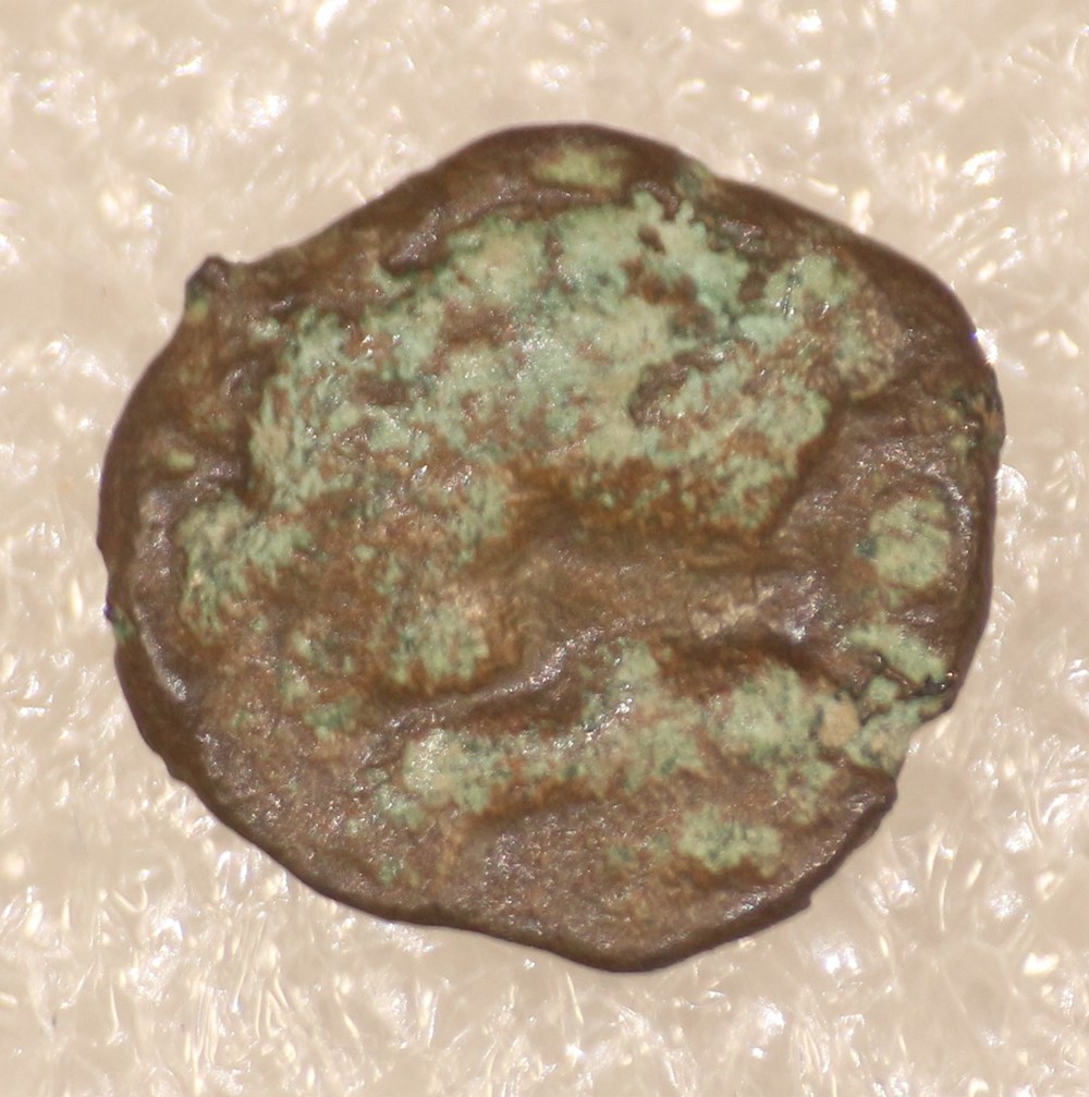 monnaies antiques a celtes nervien petit bronze
