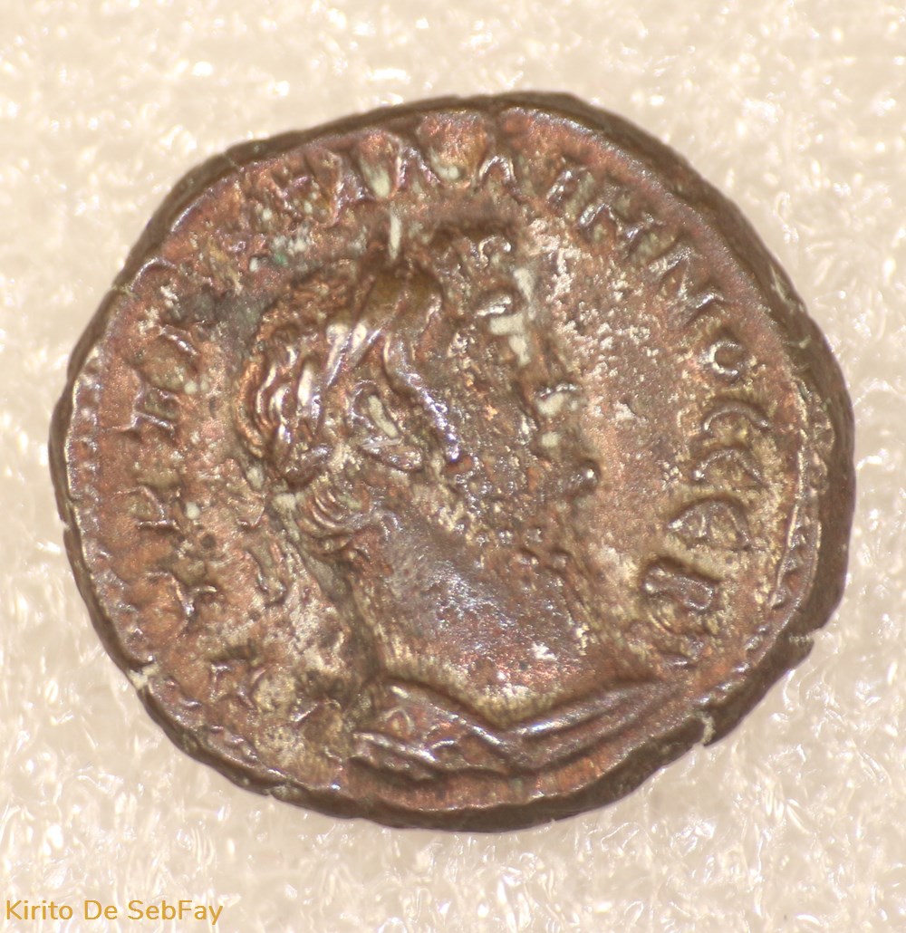 monnaies antiques romaines provinciales gallien