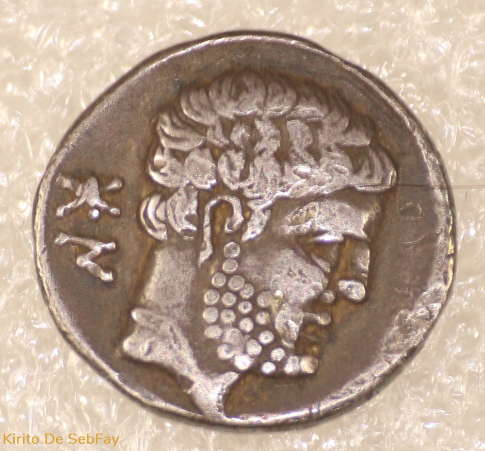 monnaies antiques romaines republicaines imperiales domitius calvinus
