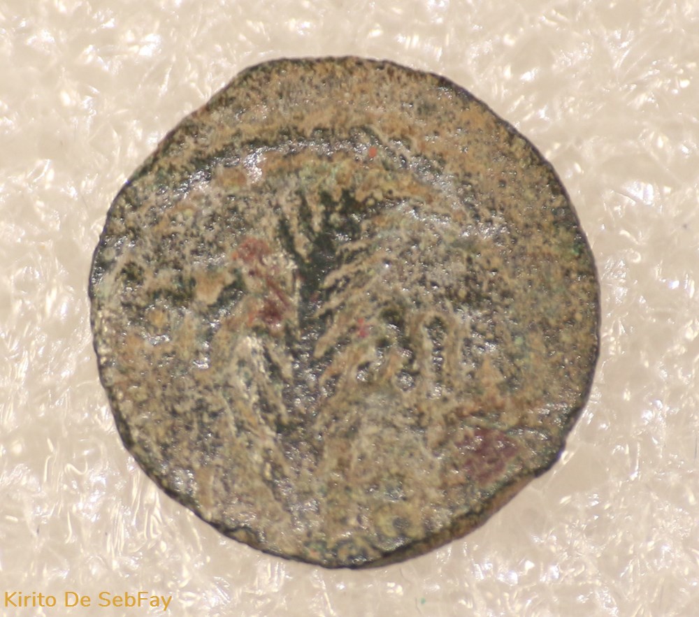 PONCE PILATE monnaies antiques grecques ponce pilate