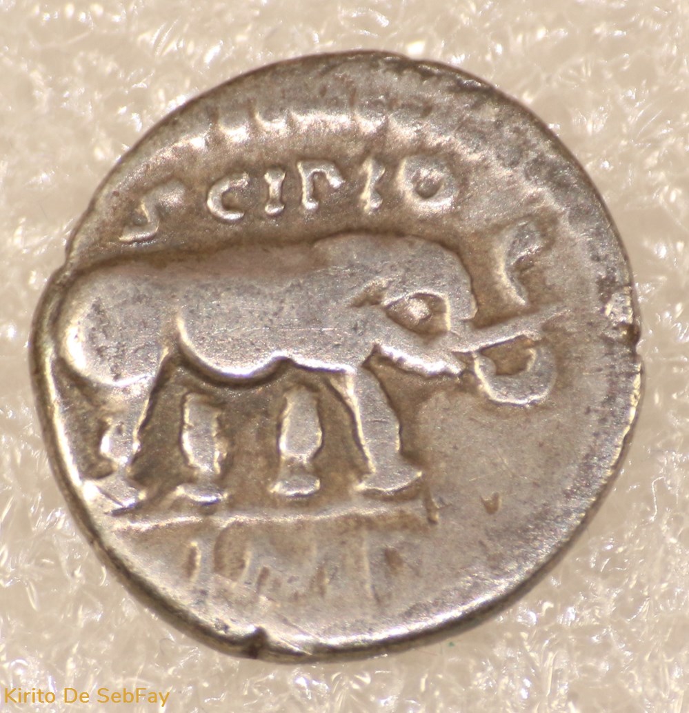 SCIPION monnaies antiques a romaines republicaines imperiales scipion