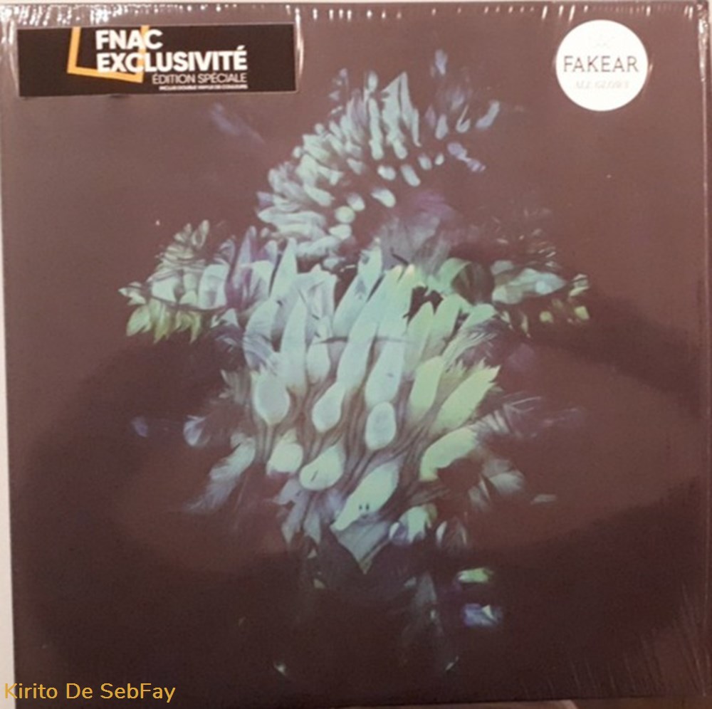 33T - Fakear - All Glows - BLANC musique instruments disques vinyles 33t fakear all glows blanc