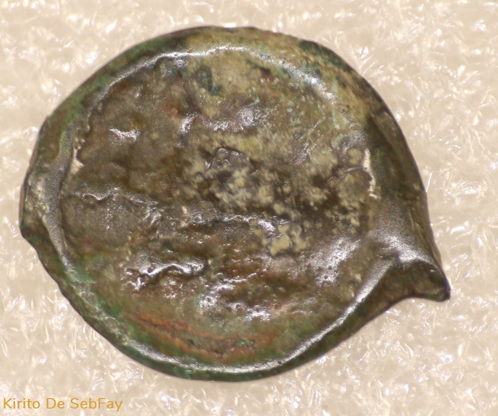 NERVIEN - POTIN AU RAMEAUX monnaies antiques celtes nervien potin au rameaux