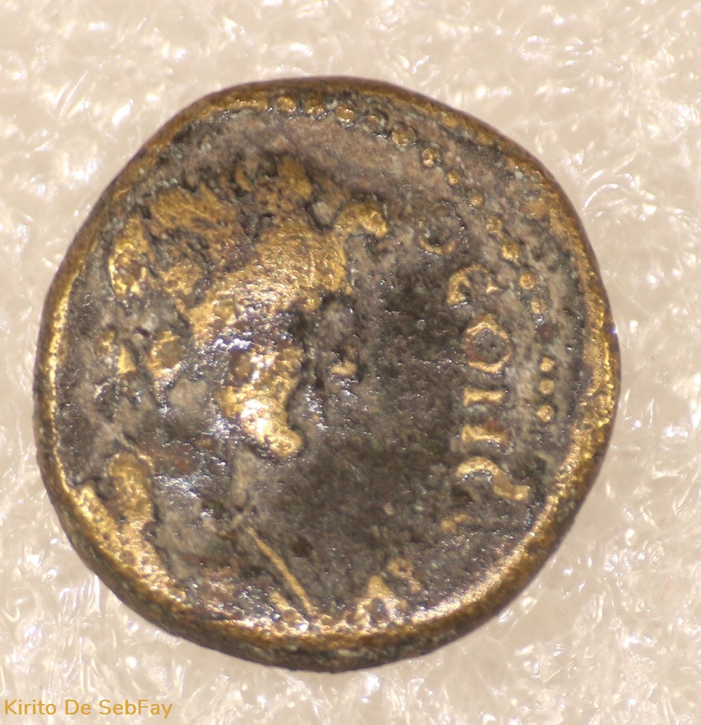 SENAT DE PERGAME ET ROME monnaies antiques romaines provinciales senat de pergame et rome