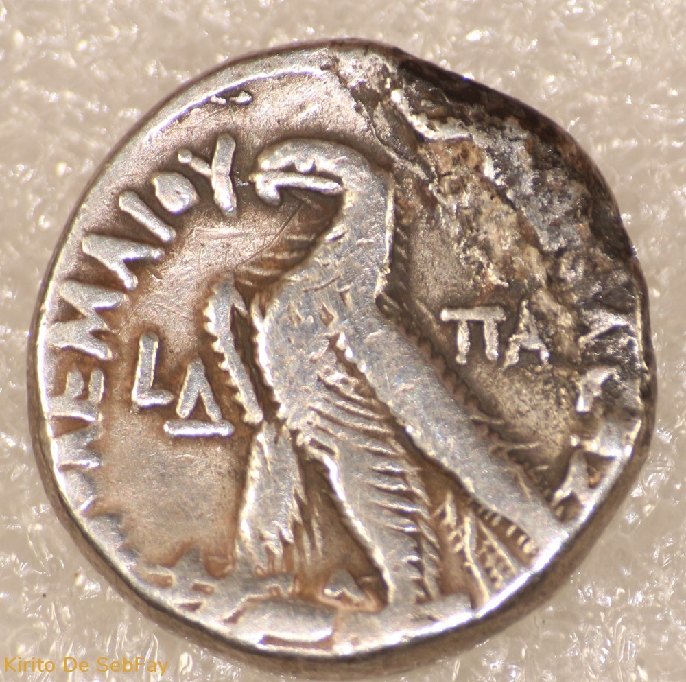 PTOLEMEE IX monnaies antiques a grecques ptolemee ix