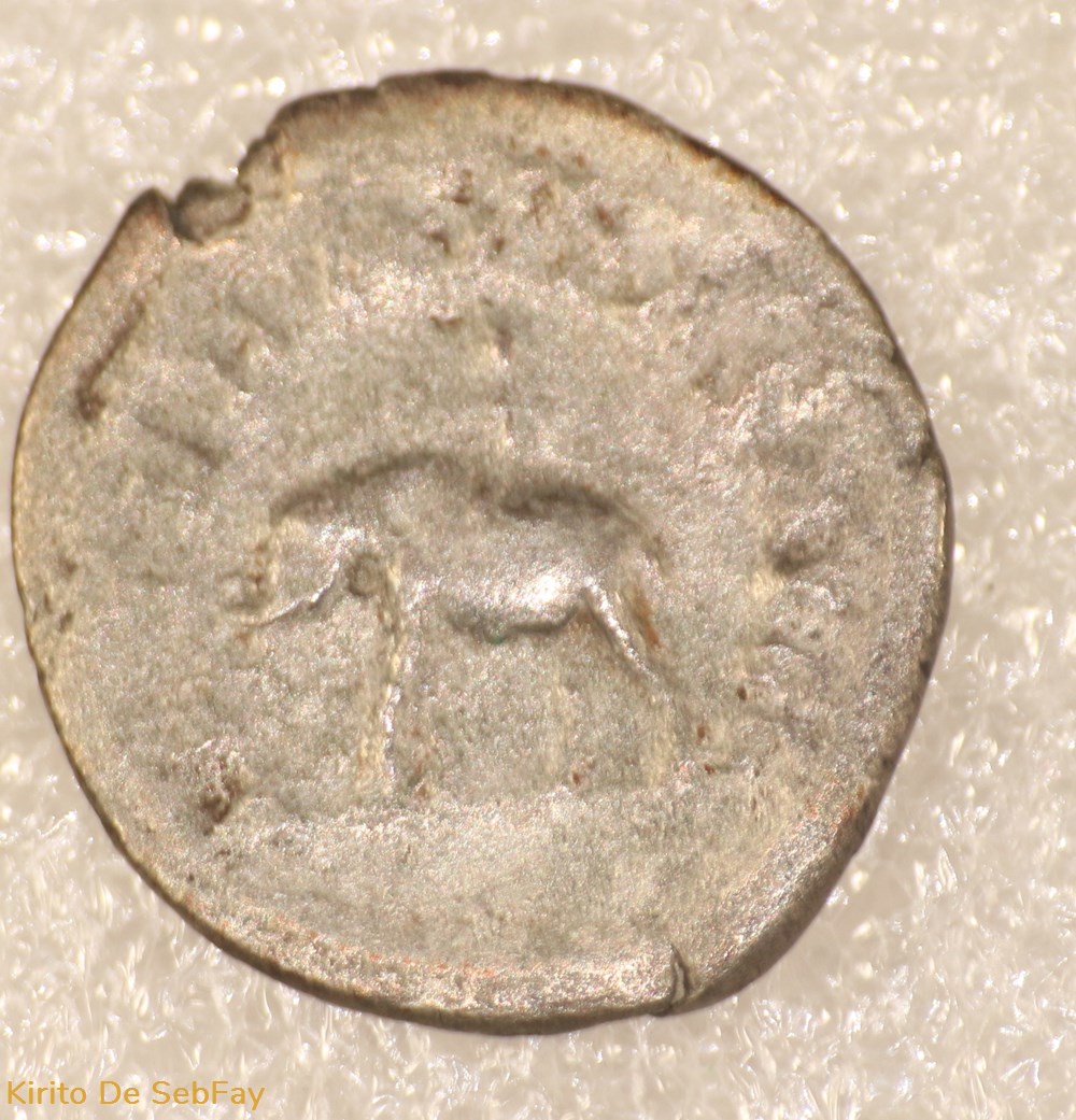 PHILIPPE I L'ARABE - ELEPHANT monnaies antiques romaines republicaines imperiales philippe i arabe elephant
