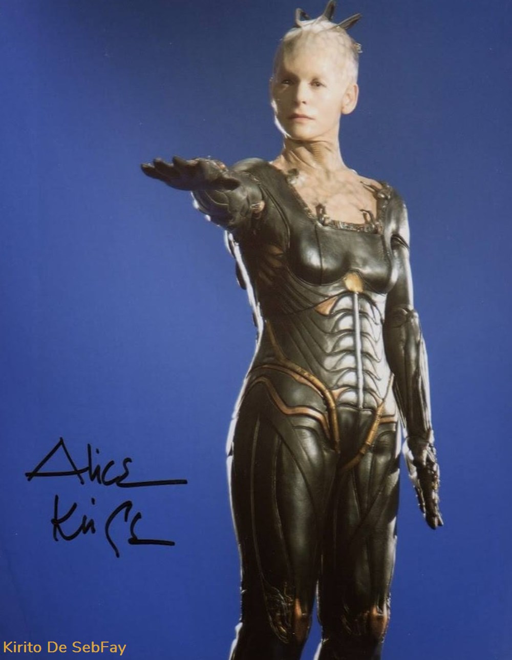 cinema series autographes autographe de alice krige