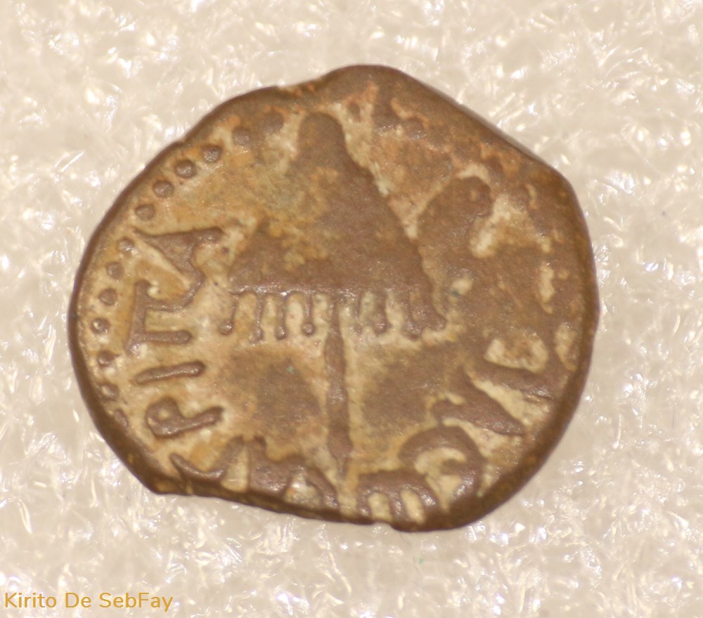 HERODE AGRIPPA monnaies antiques grecques herode agrippa