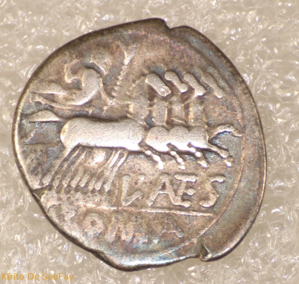 ANTESTIA monnaies antiques romaines republicaines imperiales antestia