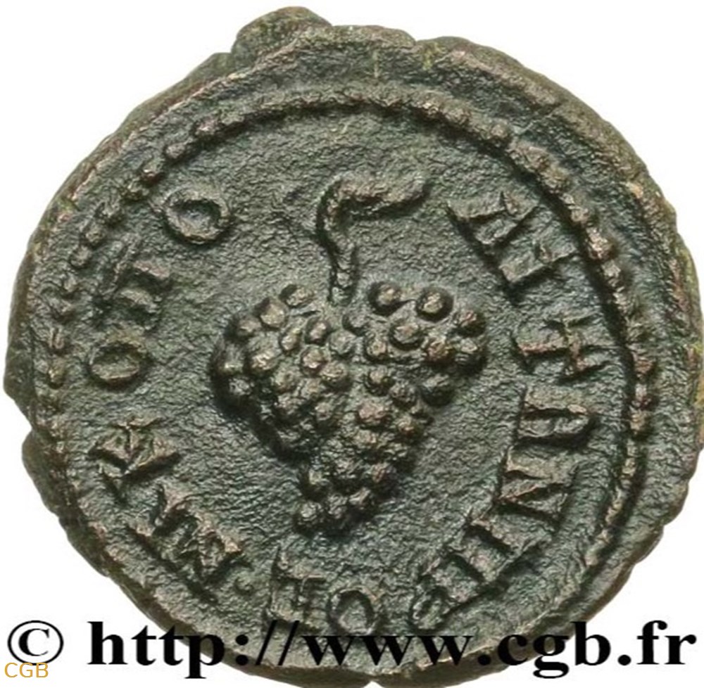 ELAGABALE - RAISIN monnaies antiques romaines provinciales elagabale raisin