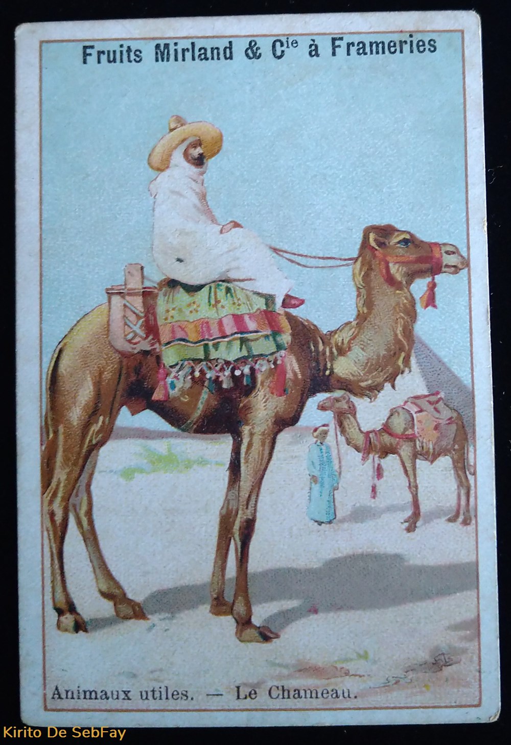 Fruits Mirland et Cie à Frameries - Animaux utiles objets publicitaires cartons fruits mirland et cie a frameries animaux utiles