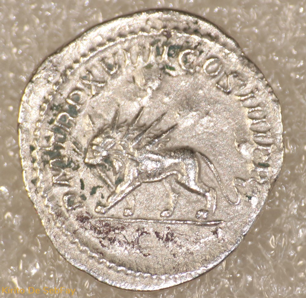 monnaies antiques romaines republicaines imperiales caracalla lion