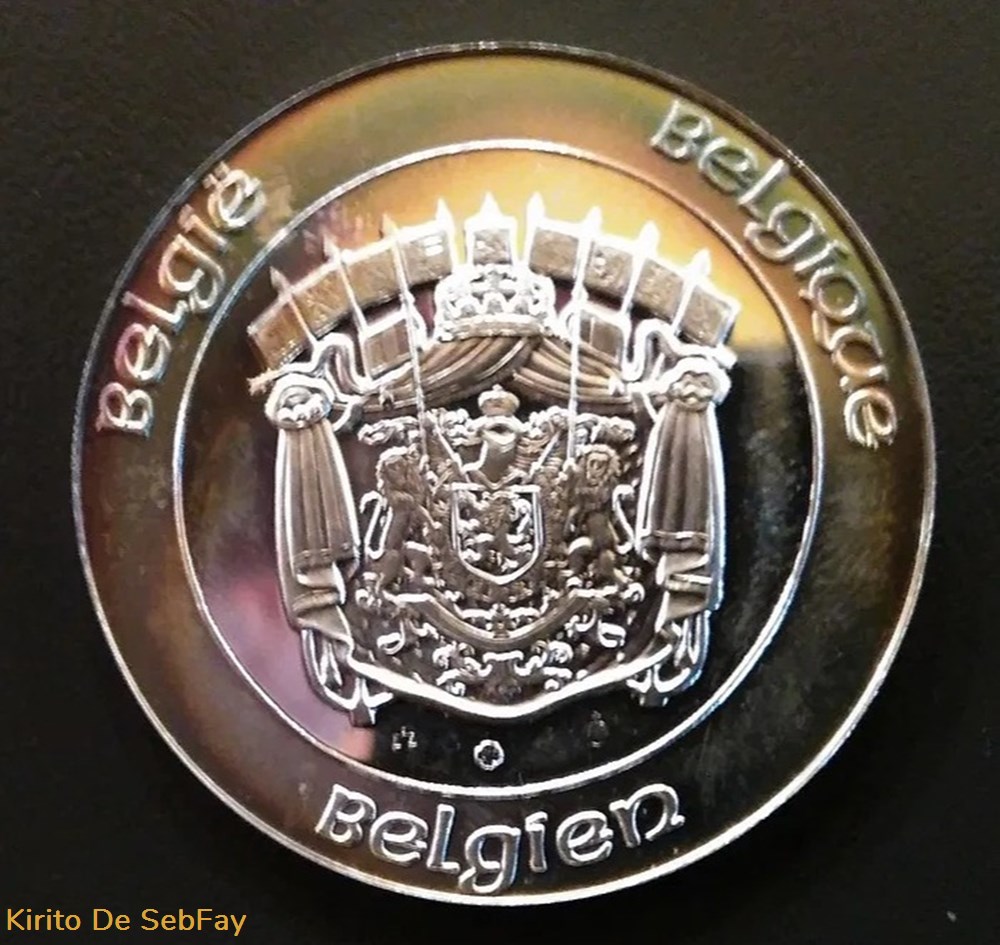 BELGIQUE - Médaille Commémorative du Roi Albert II - 1993 monnaies monde belgique medaille commemorative du roi albert ii 1993