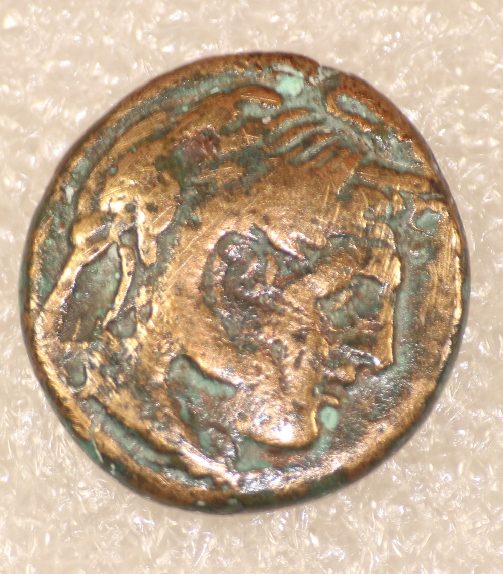 PTOLEMEE I monnaies antiques a grecques ptolemee i