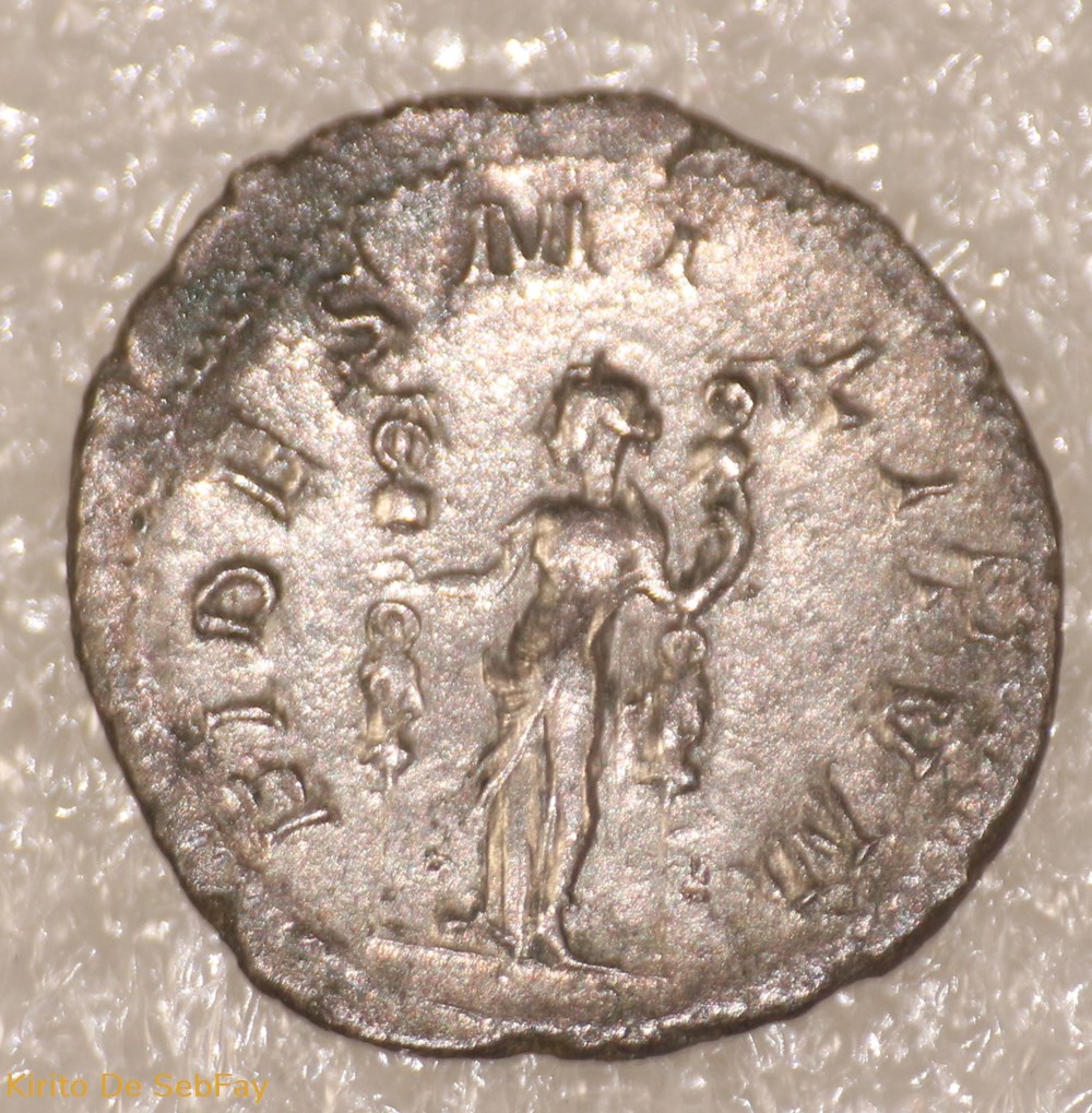 MAXIMINUS I LE THRACE - FIDES monnaies antiques romaines republicaines imperiales maximinus i le thrace fides
