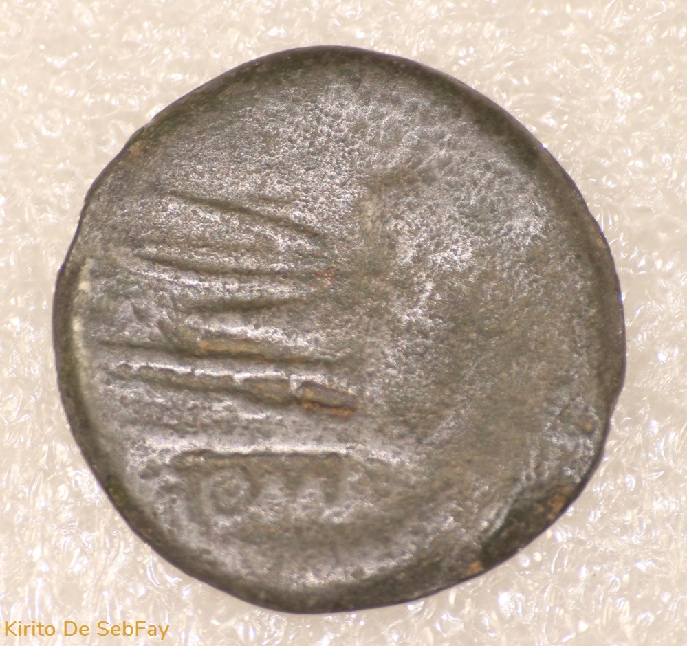 monnaies antiques romaines republicaines imperiales janus