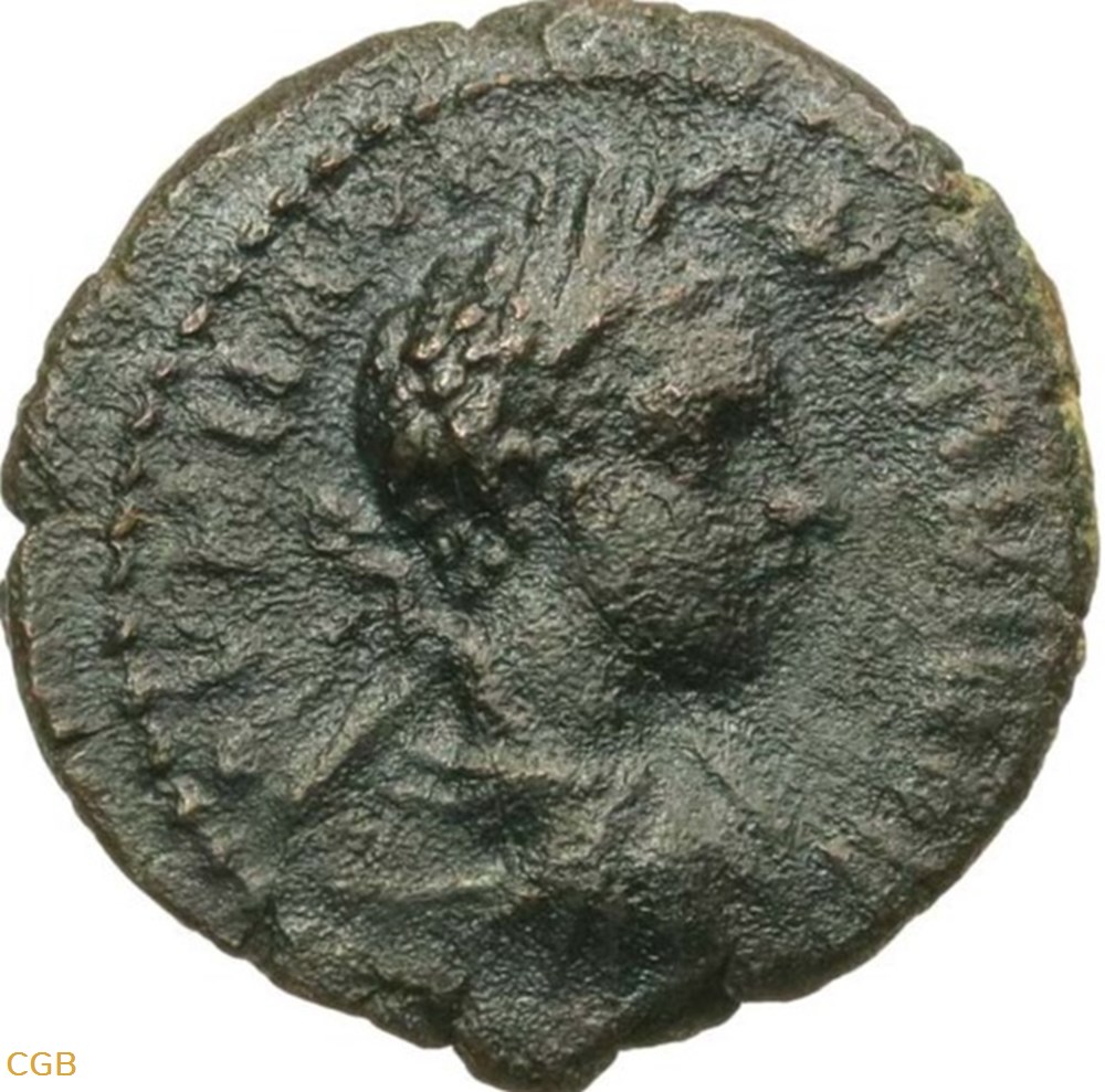 ELAGABALE - RAISIN monnaies antiques romaines provinciales elagabale raisin