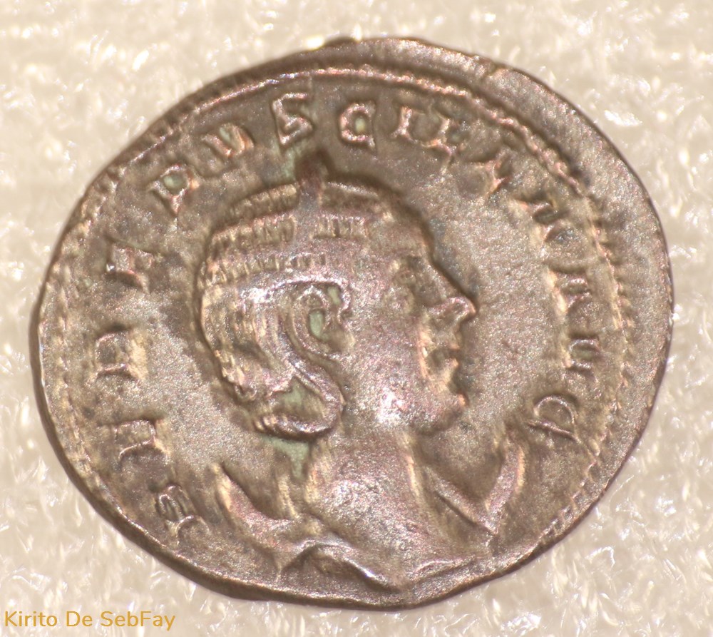monnaies antiques romaines republicaines imperiales etruscille pudicitia