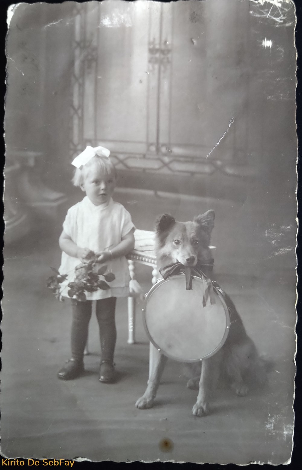 Jeanine Fally - Photographe Norbert Ghisoland photographies jeanine fally photographe norbert ghisoland