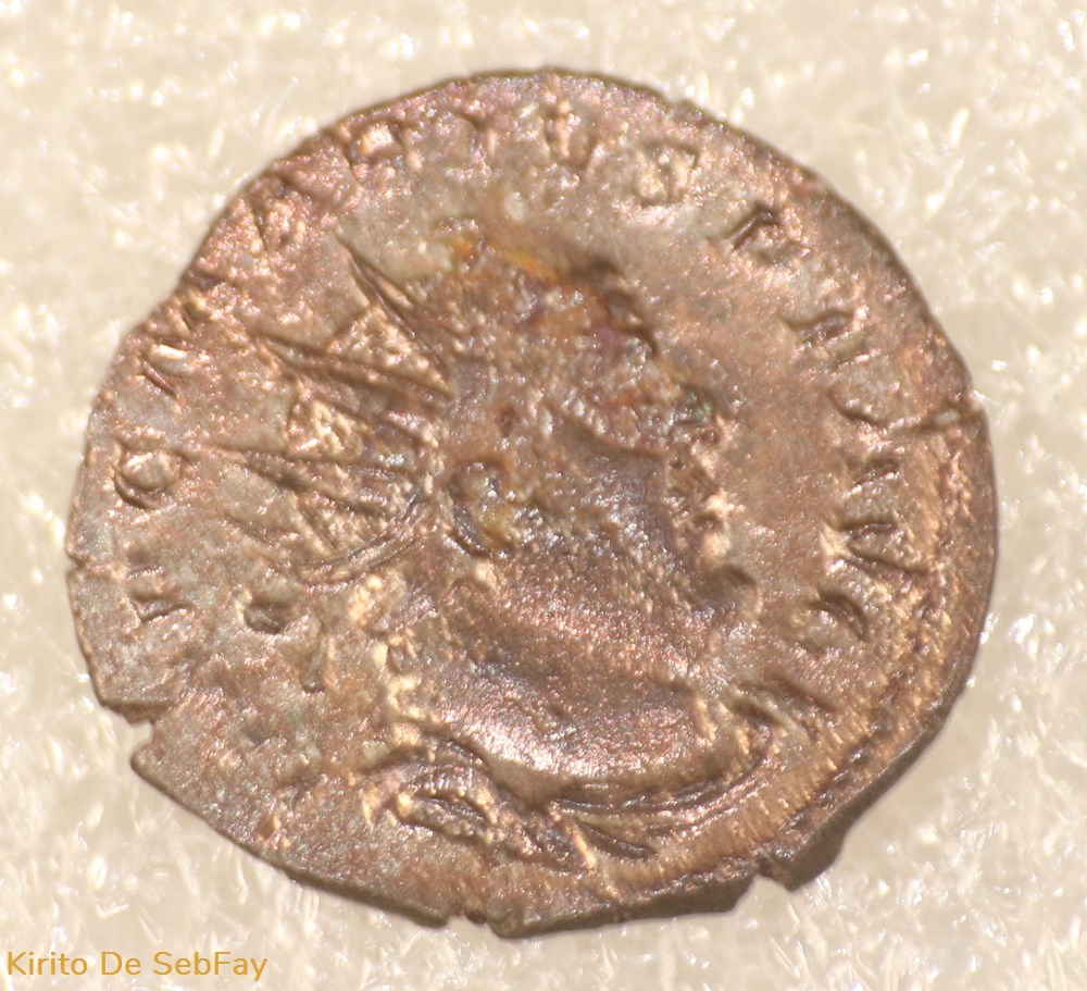 monnaies antiques romaines imperiales et republicaines marius felicitas