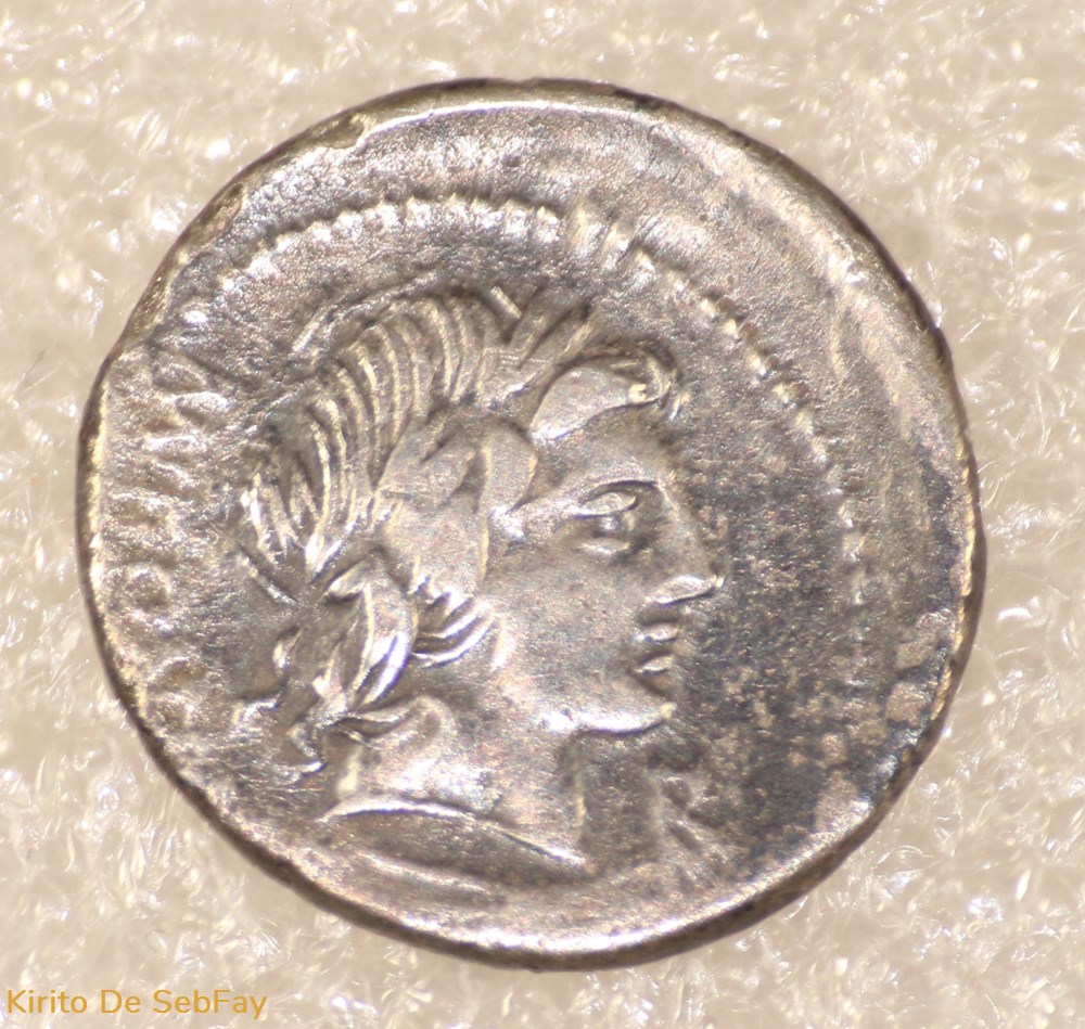 monnaies antiques romaines republicaines imperiales fonteia