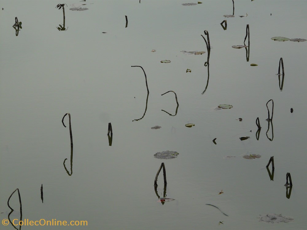 photographies 2015 02 16 vietnam