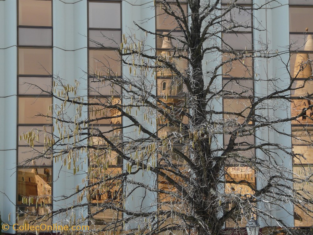 photographies 2011 03 08 budapest hongrie