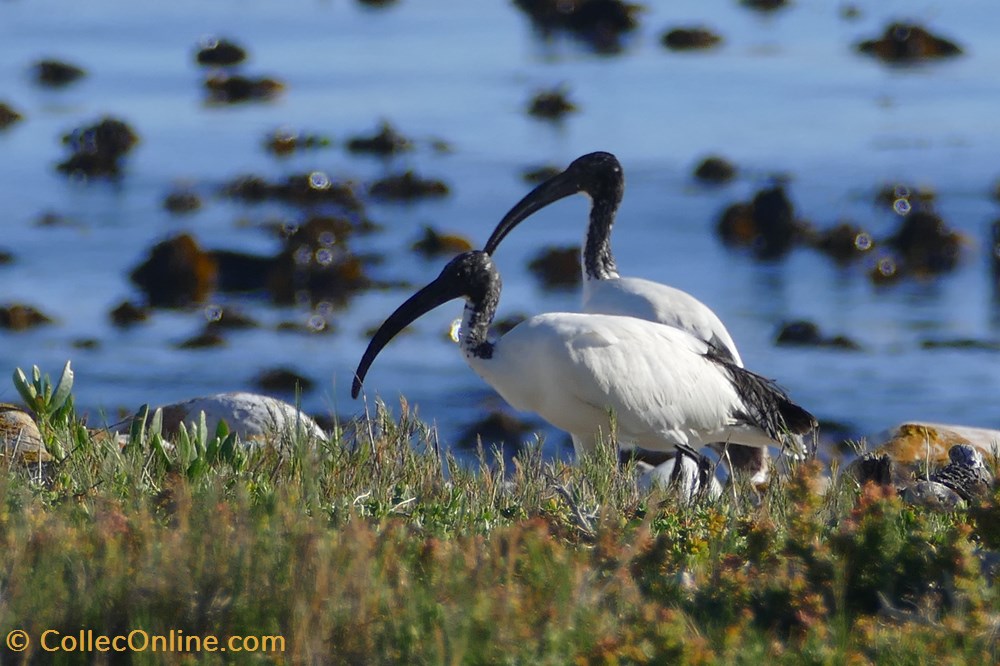 photographies 2019 04 14 le cap