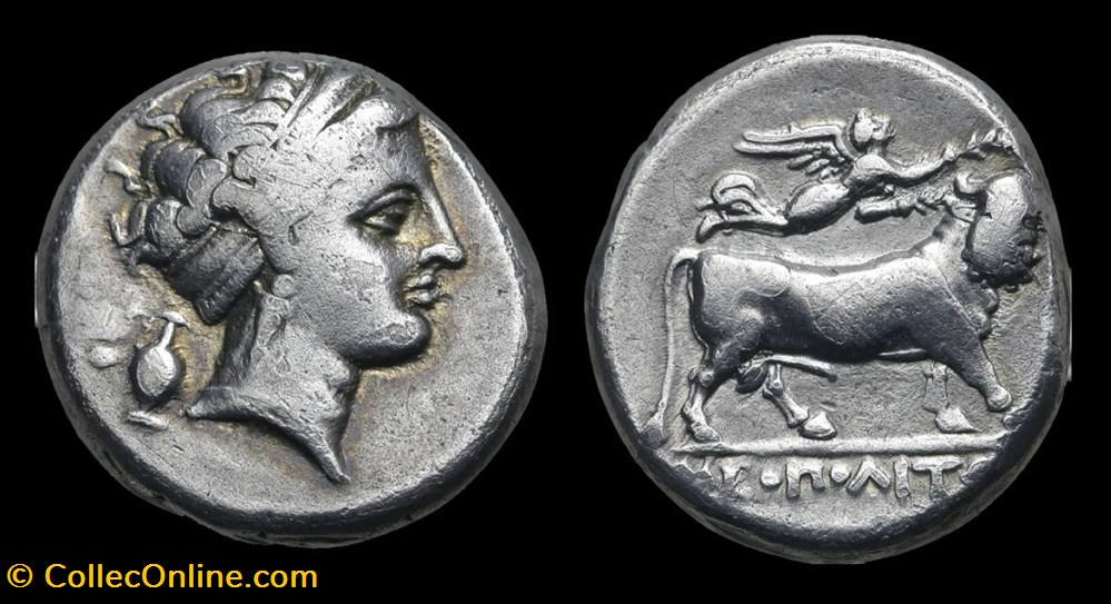 Campania, Neapolis - AR Didrachm. Circa 300-275 BCE monnaies antiques grecques campania neapolis ar didrachm circa 300 275 bce
