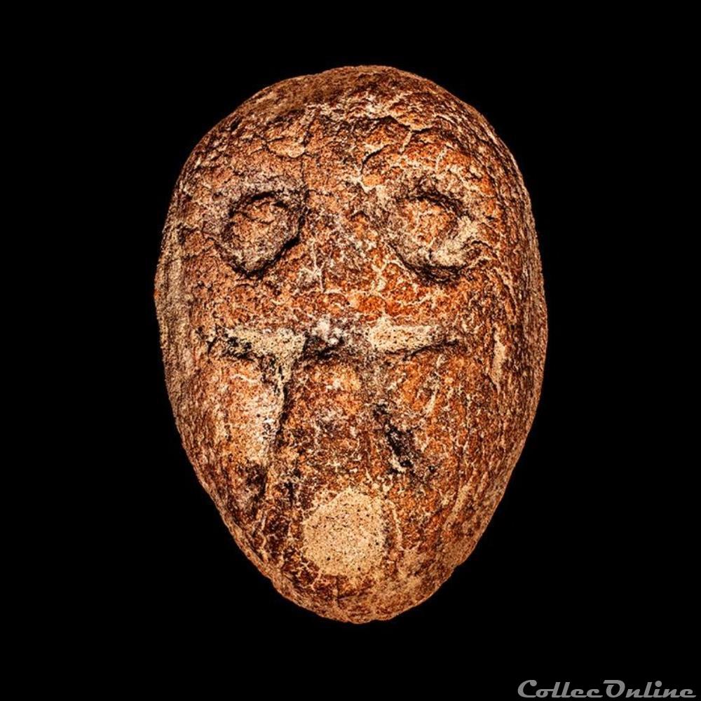monnaie monde chine cauri nez de fournis en terre cuite du royaume de chu 350 255 acn